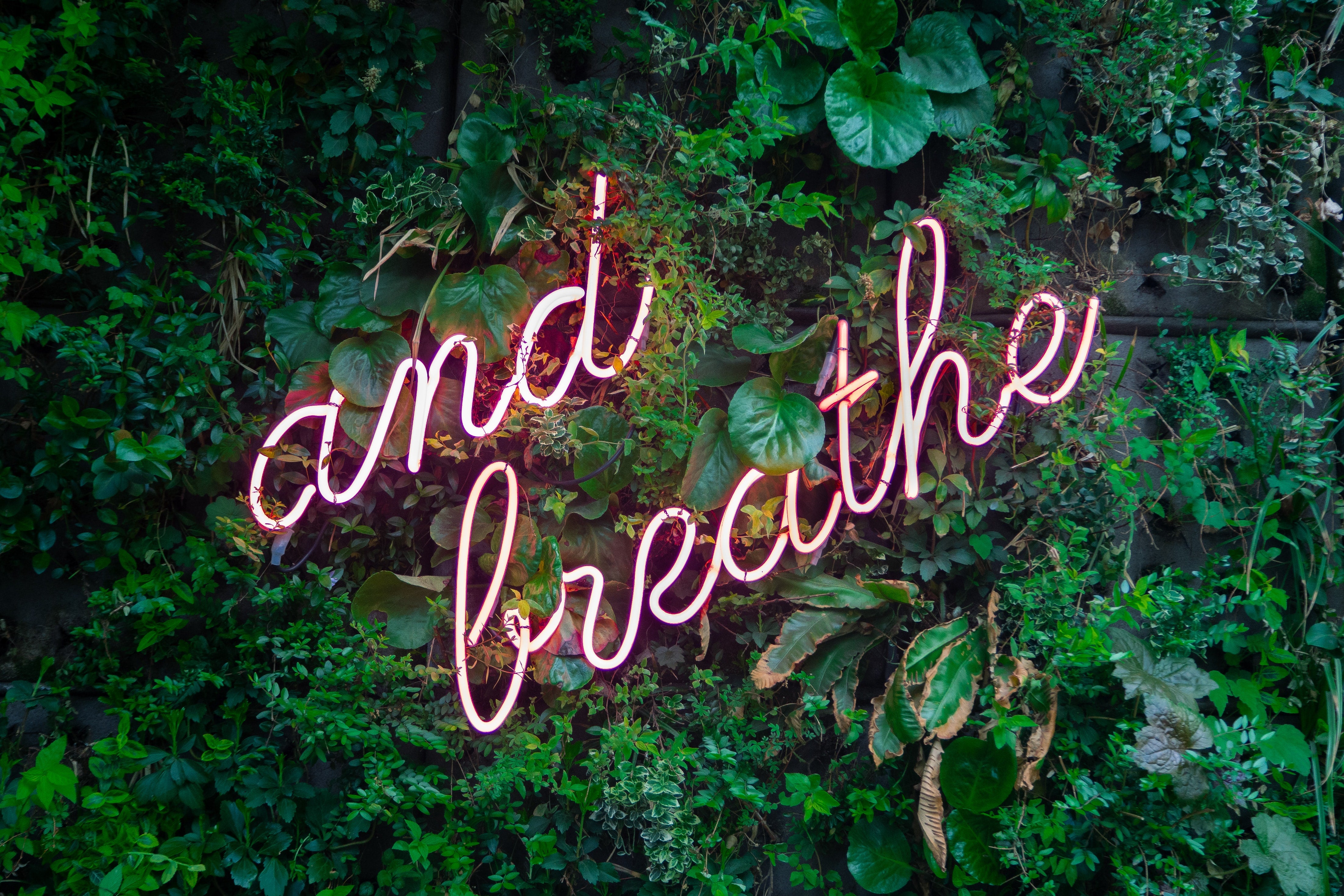 T&B lockdown de-stress hacks.