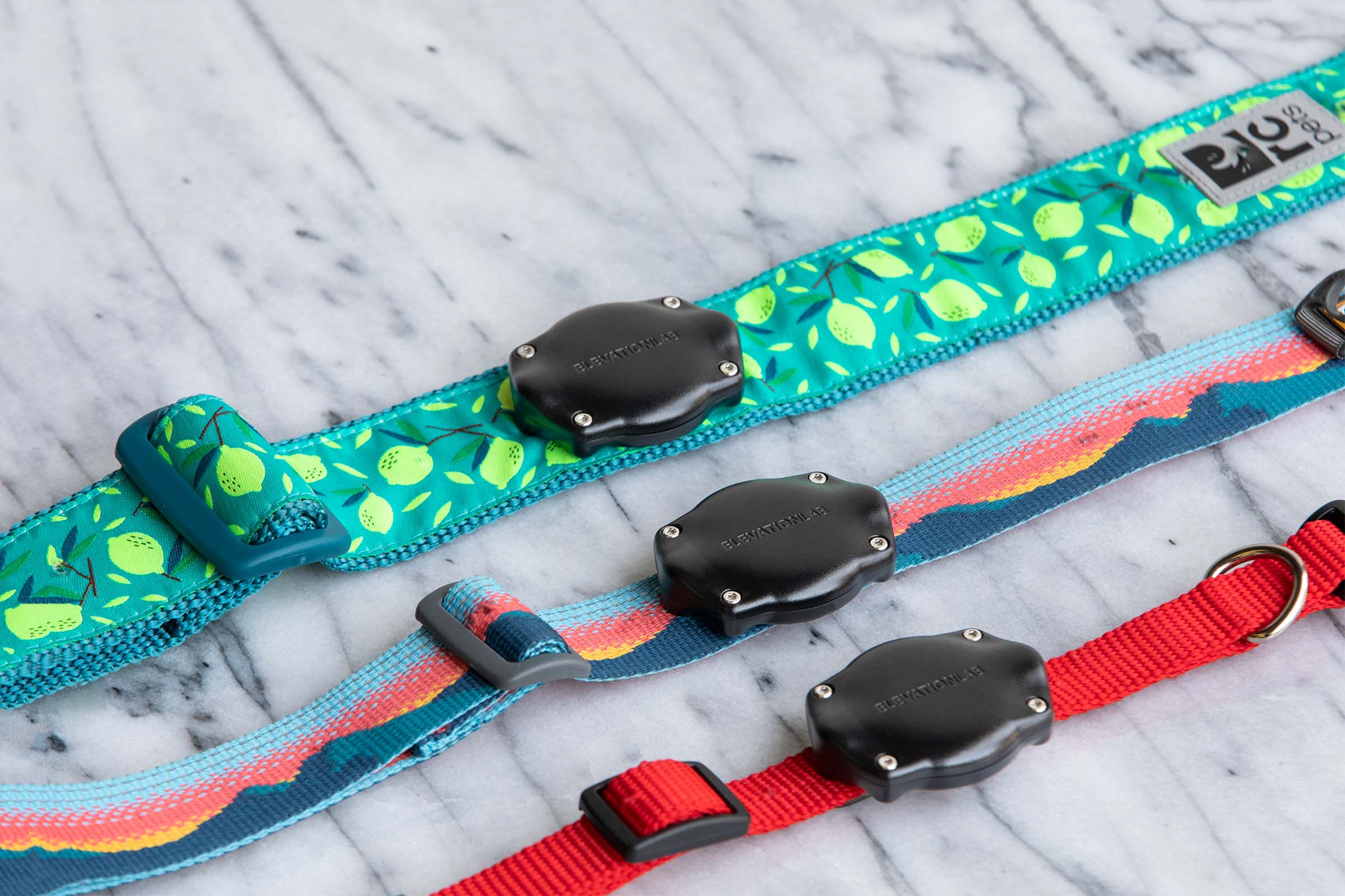 TagVault: Pet for AirTag