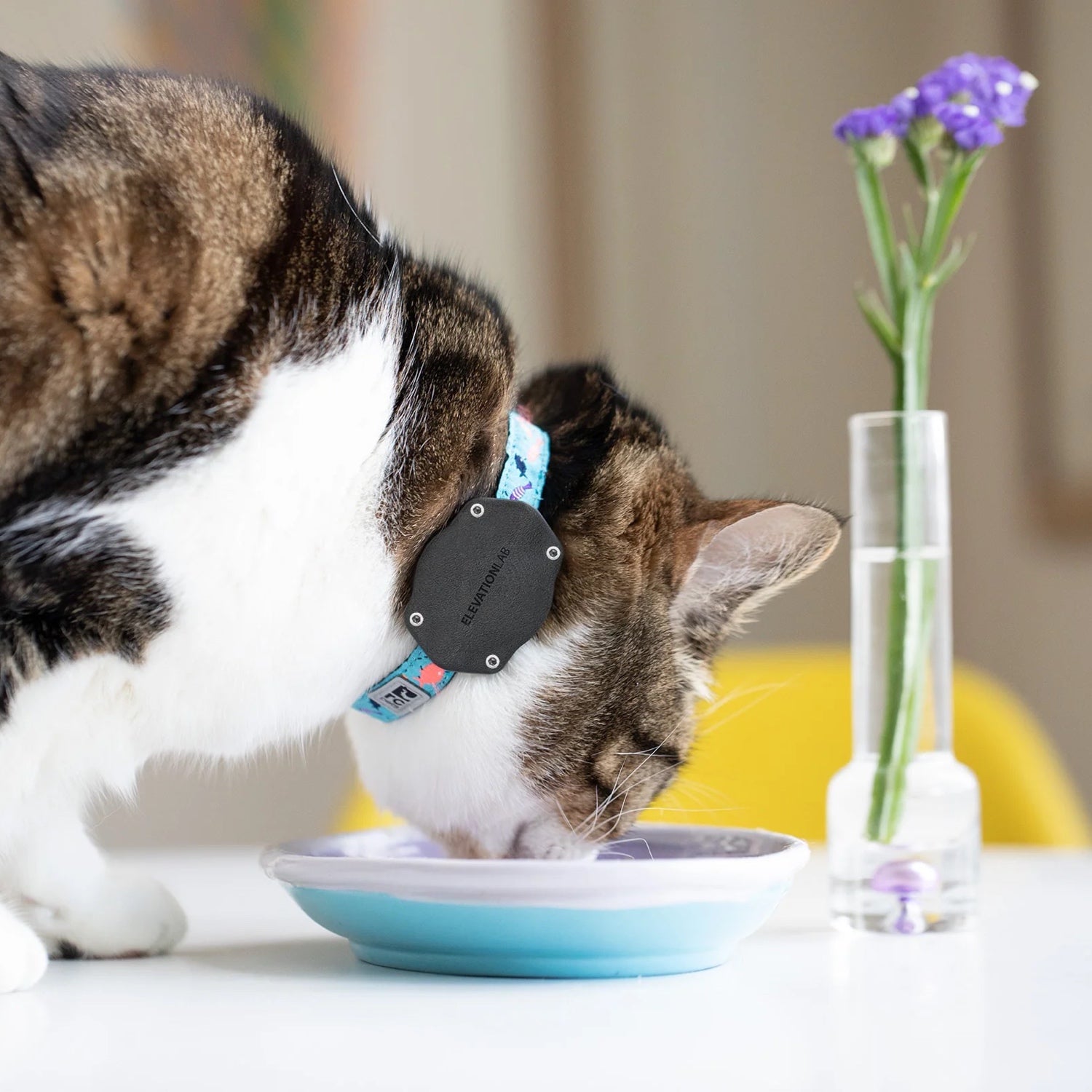 TagVault: Pet for AirTag