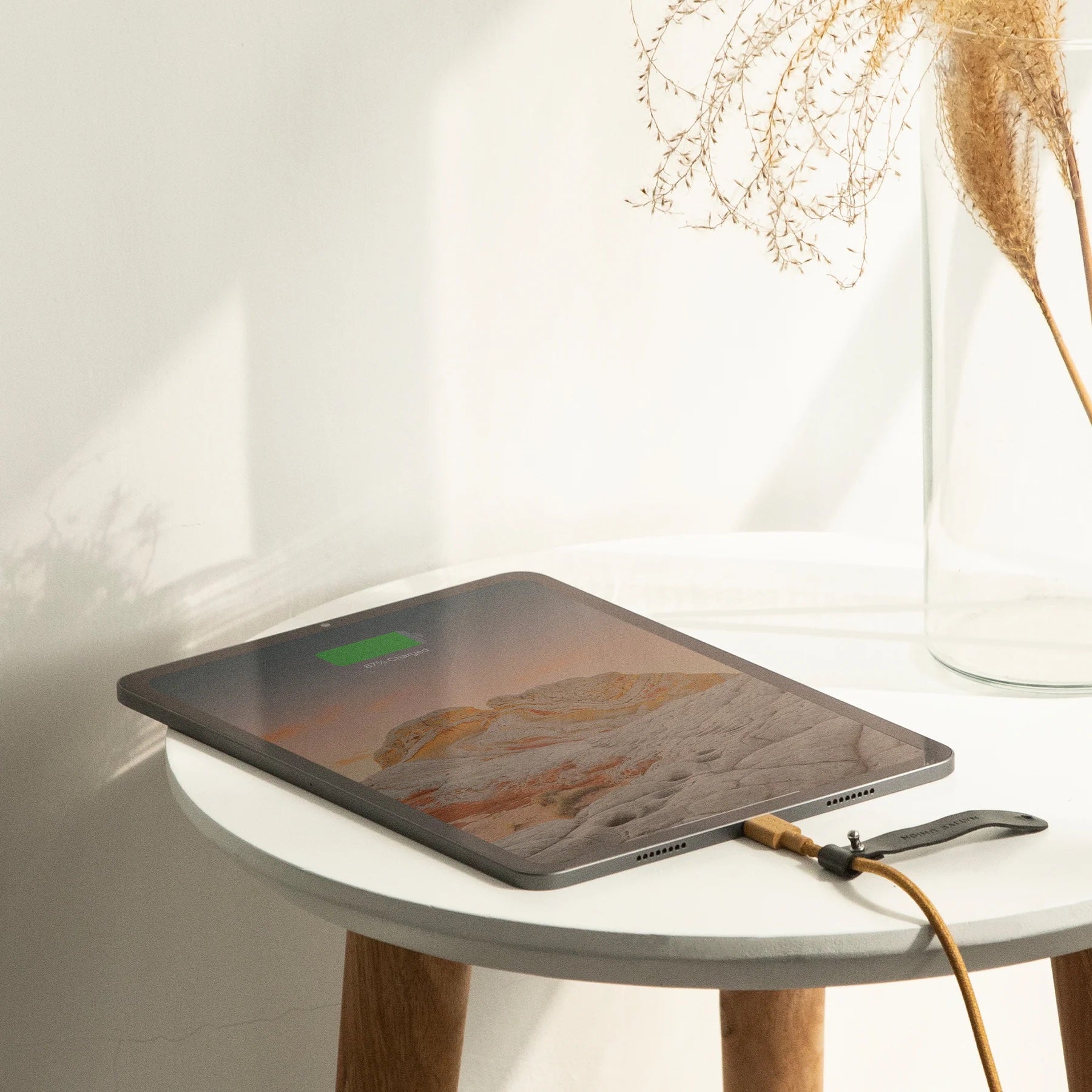 Belt Cable (USB-C to USB-C) - 1.2 metre
