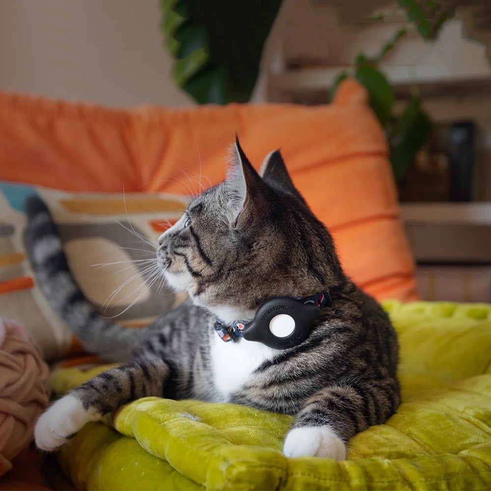 TagVault: Cat Collar Mount for AirTag