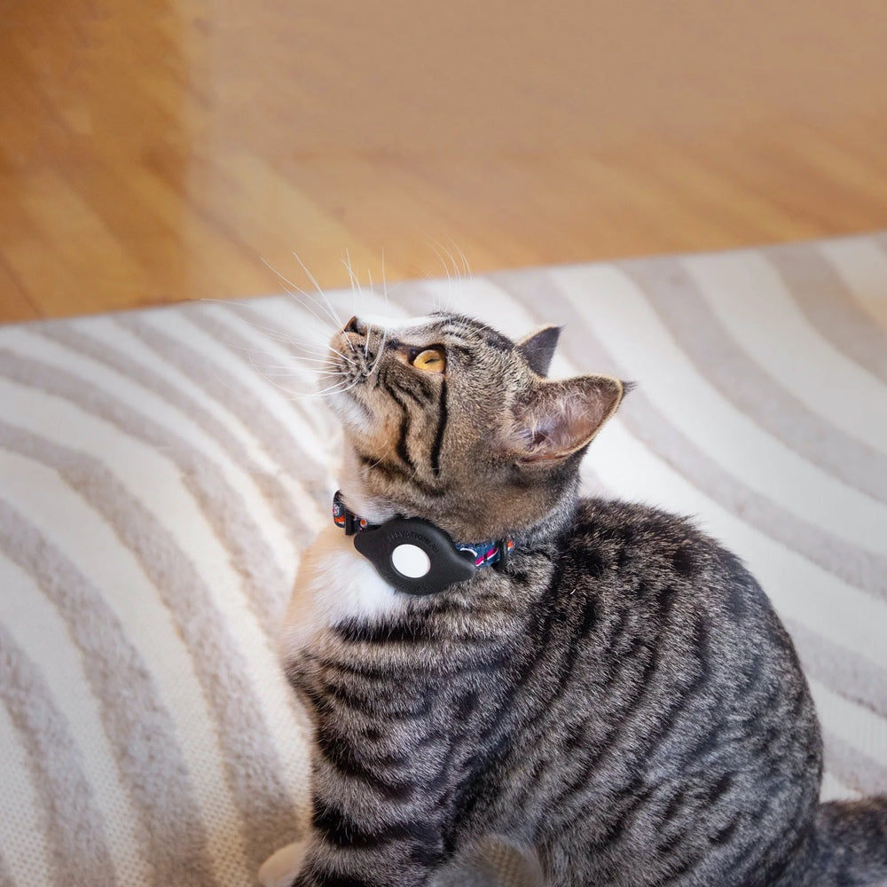 TagVault: Cat Collar Mount for AirTag