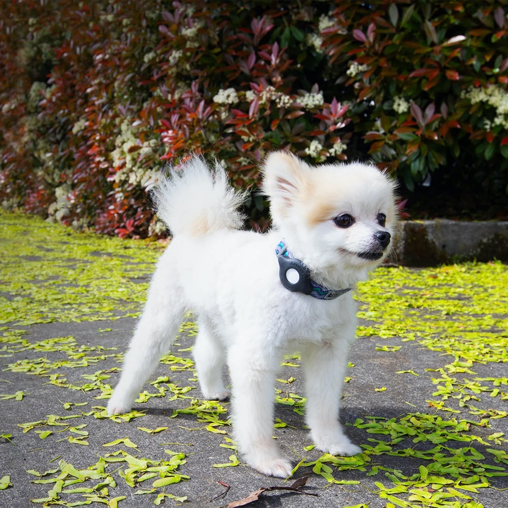 TagVault: Cat Collar Mount for AirTag
