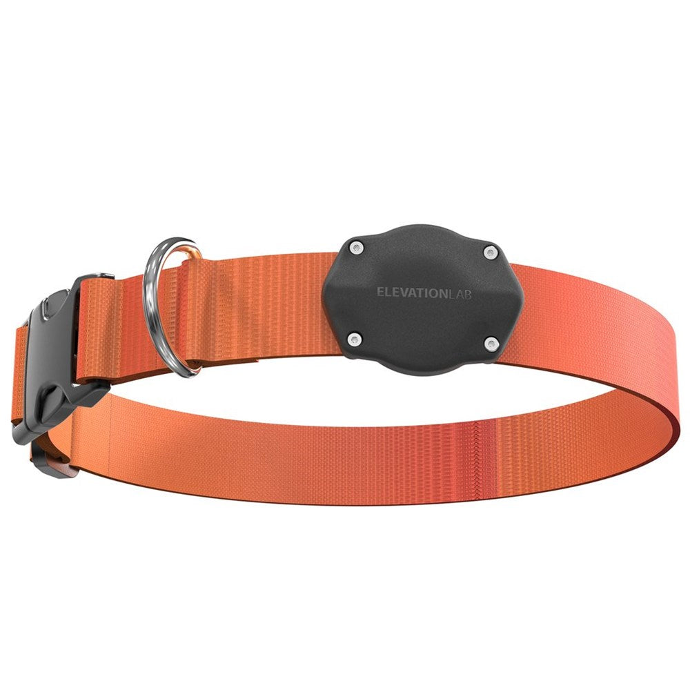 Elevation Lab TagVault Pet - The Most Secure AirTag Dog Collar Mount | IP68  Waterproof, Fits All Width Collars