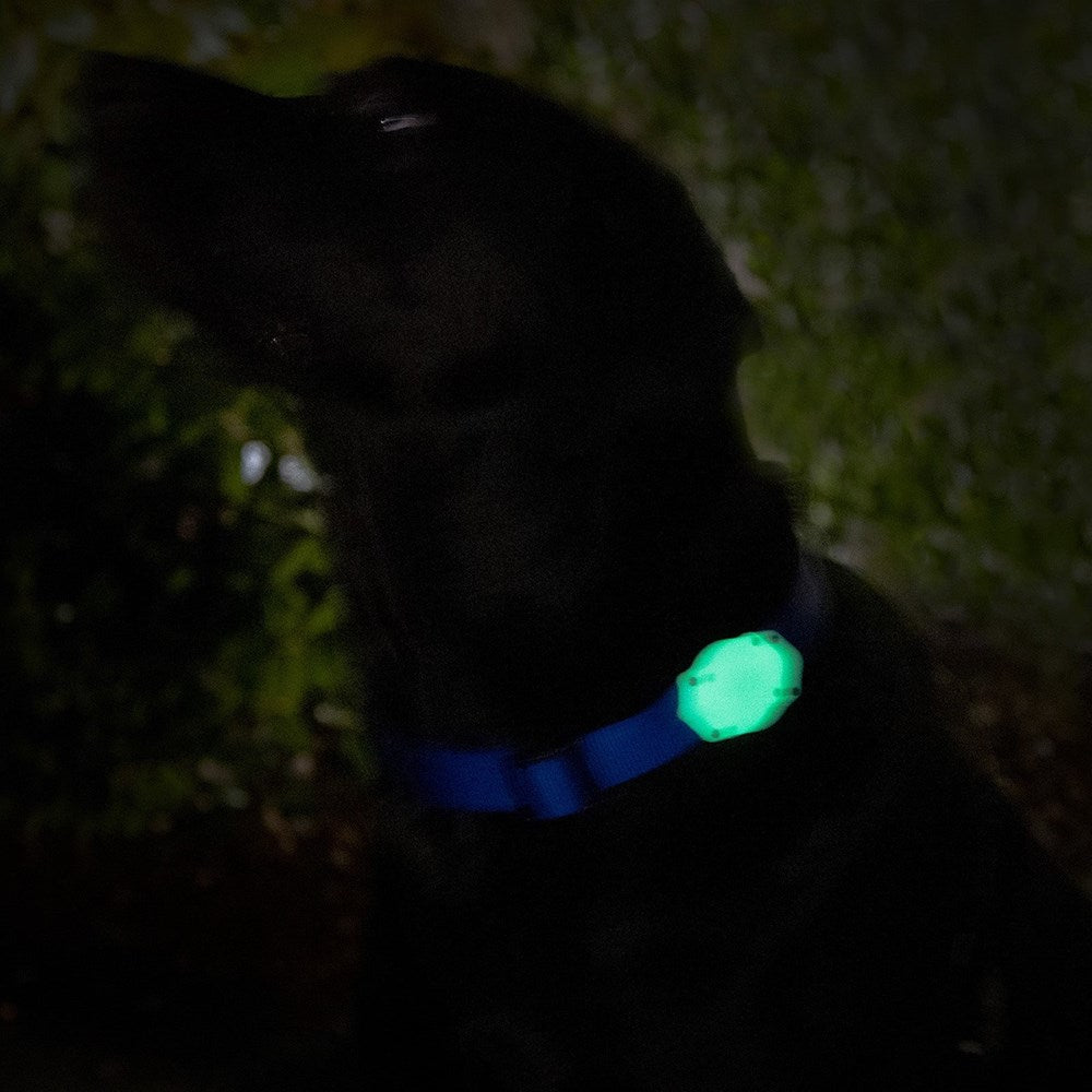 TagVault: Pet for AirTag - Glow in the Dark